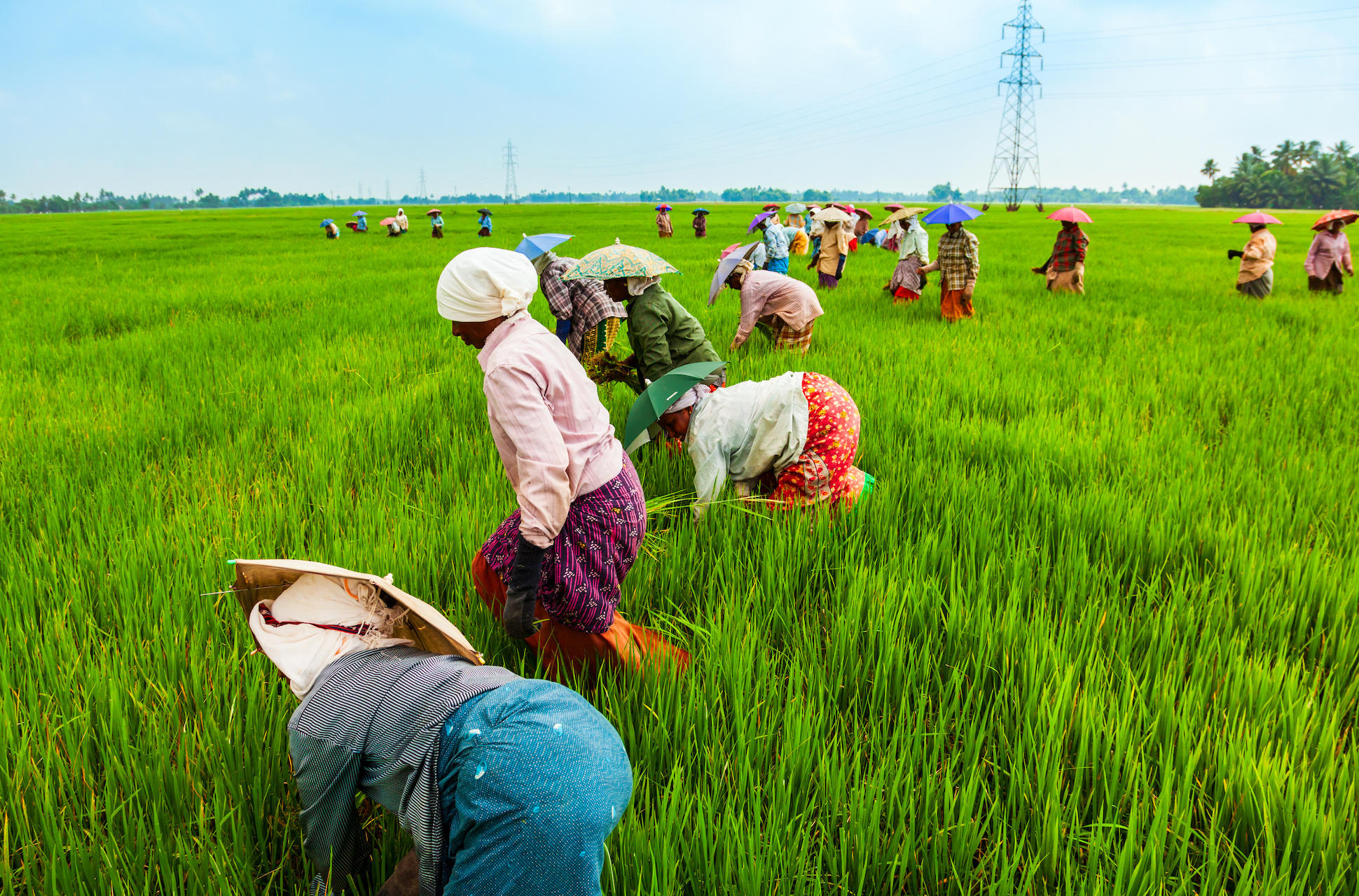 Delivering an agricultural transformation